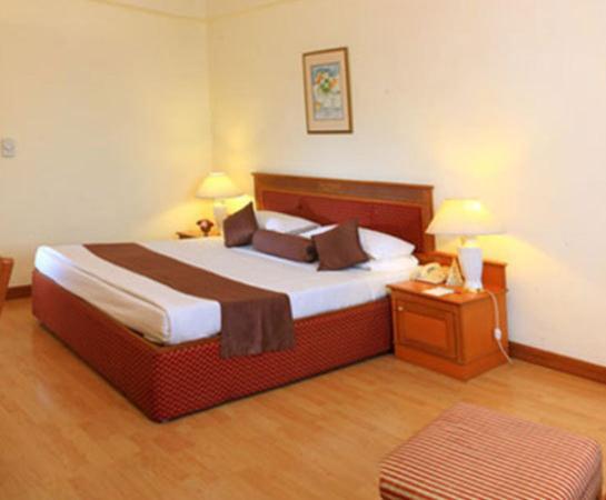Hotel Hridey Inn Нью-Дели Номер фото